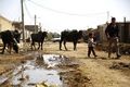 تصویر بندانگشتی از نسخهٔ مورخ ‏۱ دسامبر ۲۰۲۱، ساعت ۰۴:۴۹
