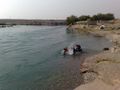 تصویر بندانگشتی از نسخهٔ مورخ ‏۱۷ اکتبر ۲۰۲۱، ساعت ۱۲:۵۷
